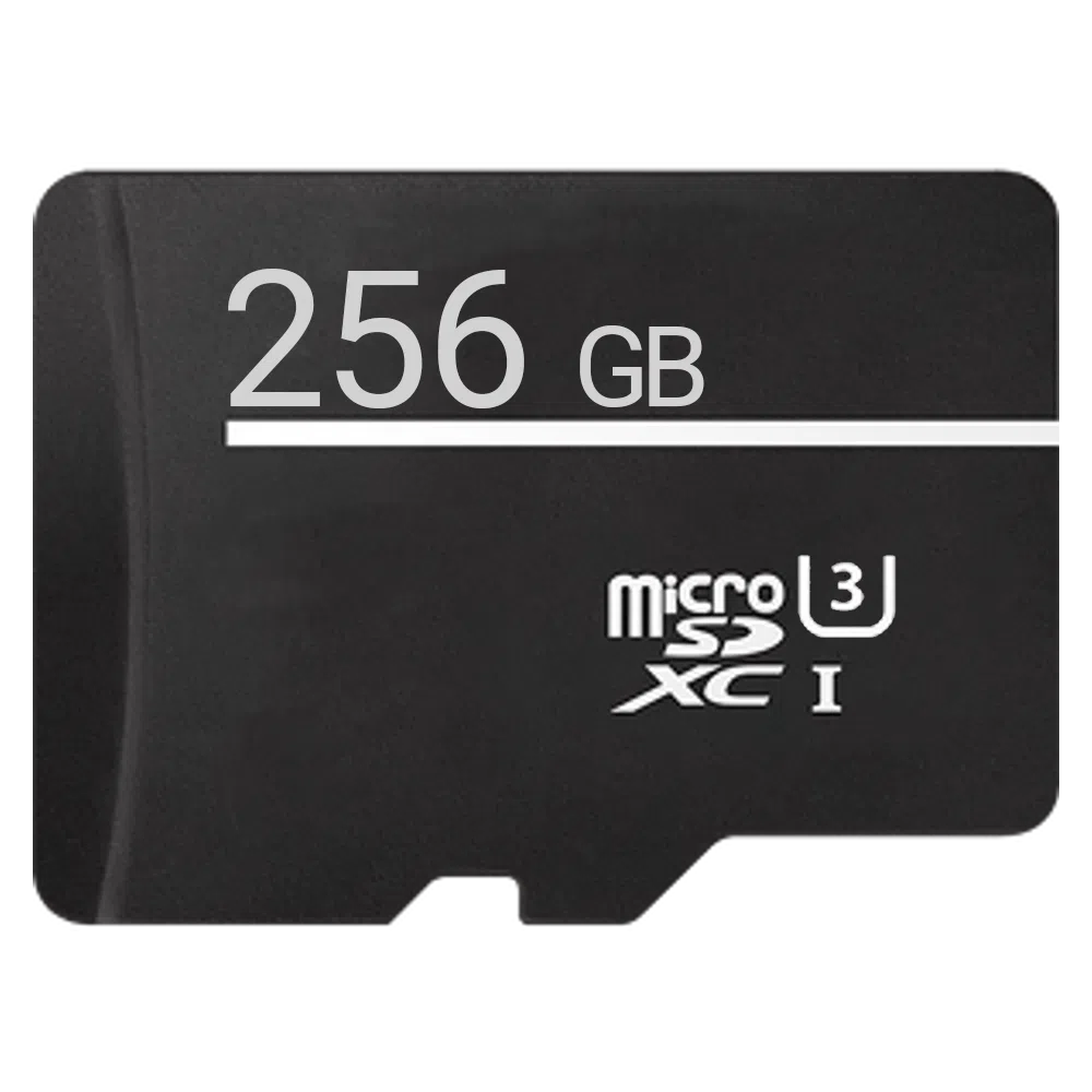 Karta Micro SD 256 GB