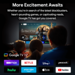 Google TV 12 sul box TV RockTek GB1 Android che offre accesso a piattaforme di streaming popolari tra cui HBO Max, Netflix, Disney+, Peacock, Hulu, Prime Video, Apple TV+ e YouTube. Gli utenti possono godersi una varietà di opzioni di intrattenimento, dai film e programmi TV ai giochi e altro ancora.